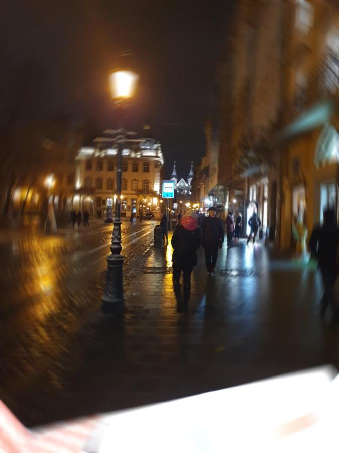 Апартаменти У Шевальє. Λβιβ Εξωτερικό φωτογραφία